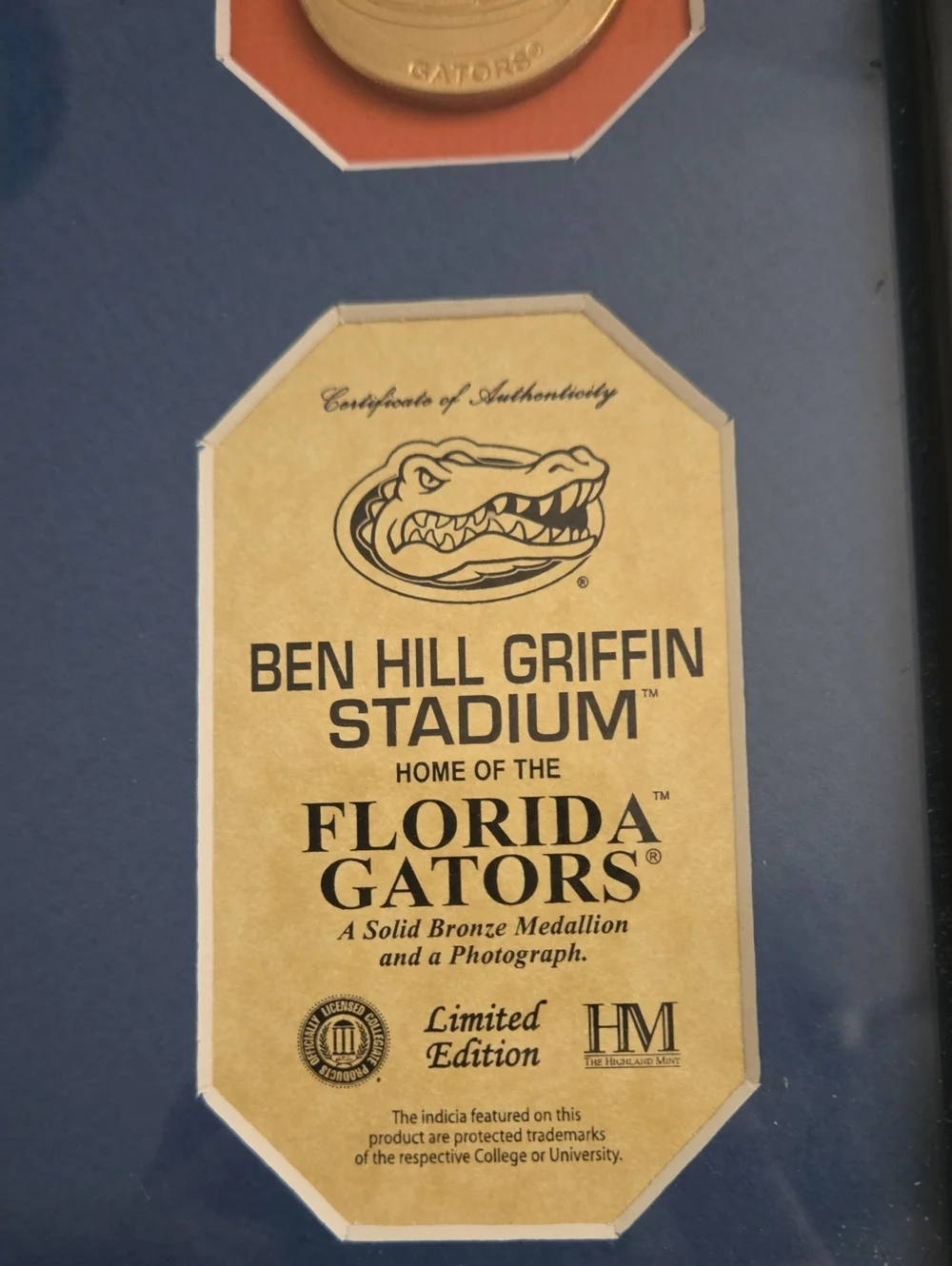 Florida Gators Ben Hill Griffin Stadium Framed Memorabilia - Blue/Orange